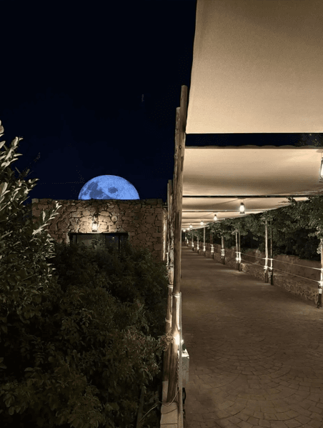 Jalsat Qamrah - Cover