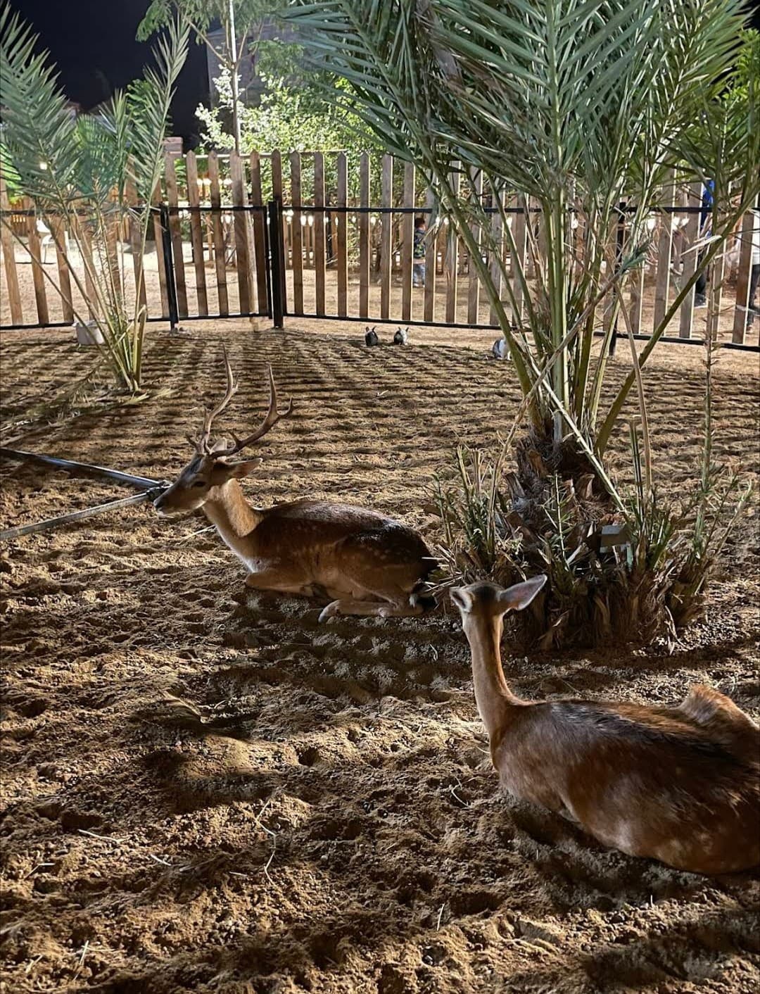 قرية أجدان - Image 2