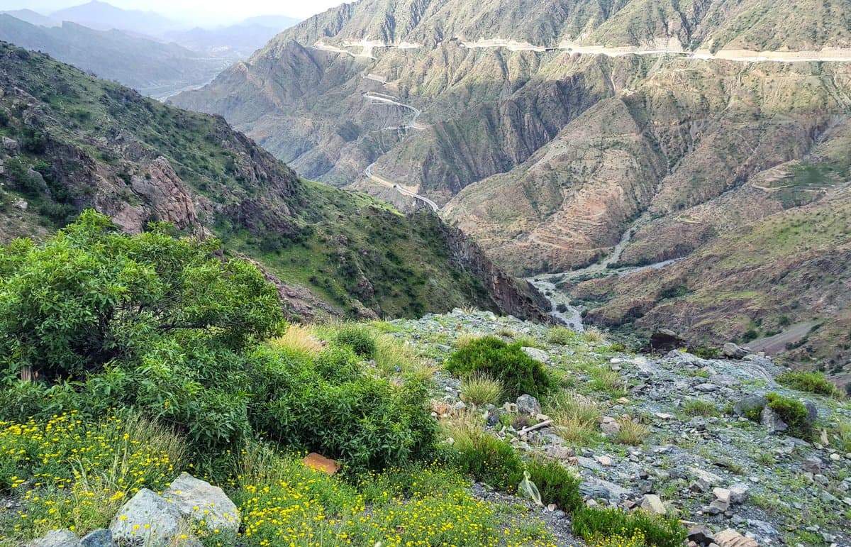 هايكنق في مرتفعات الباحة - Image 1