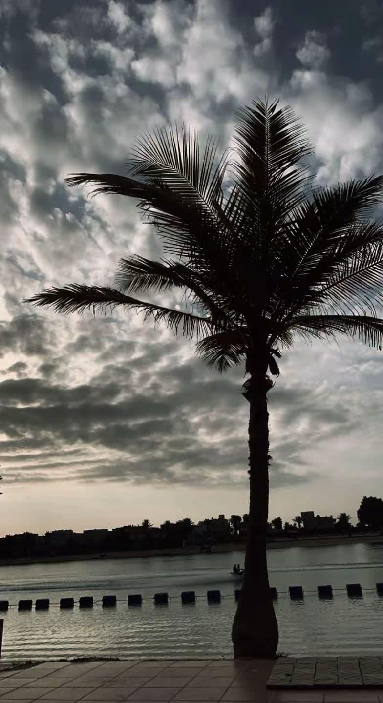 منتجع لاقون بردايس - Main Image