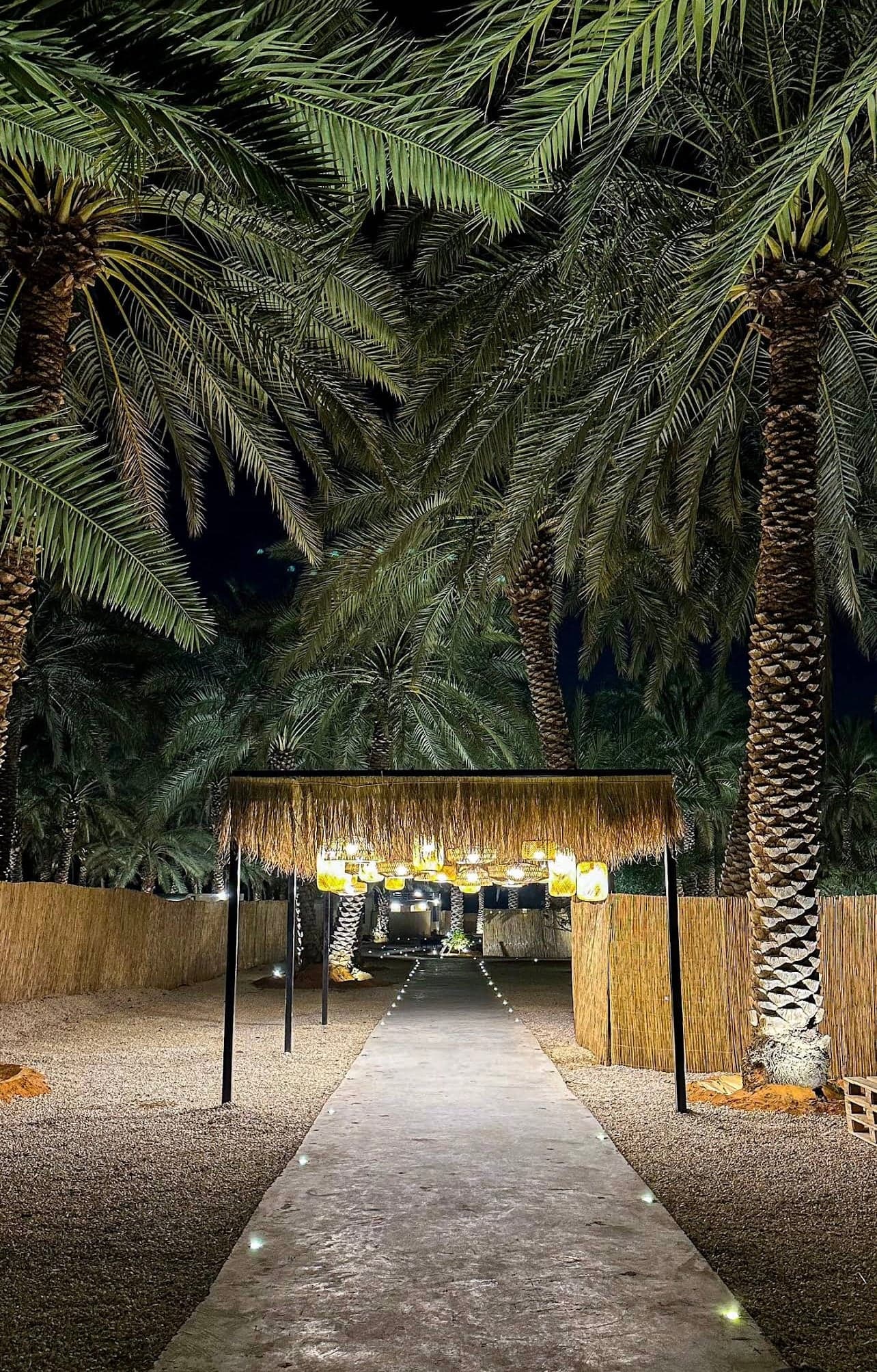 Caravan Mashta 🌿✨ - Image 2
