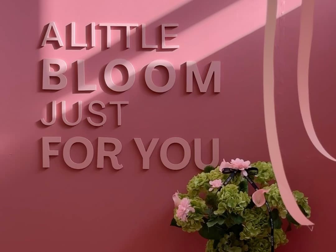 إلم بلوم | Elm Bloom 🌸 - Image 5
