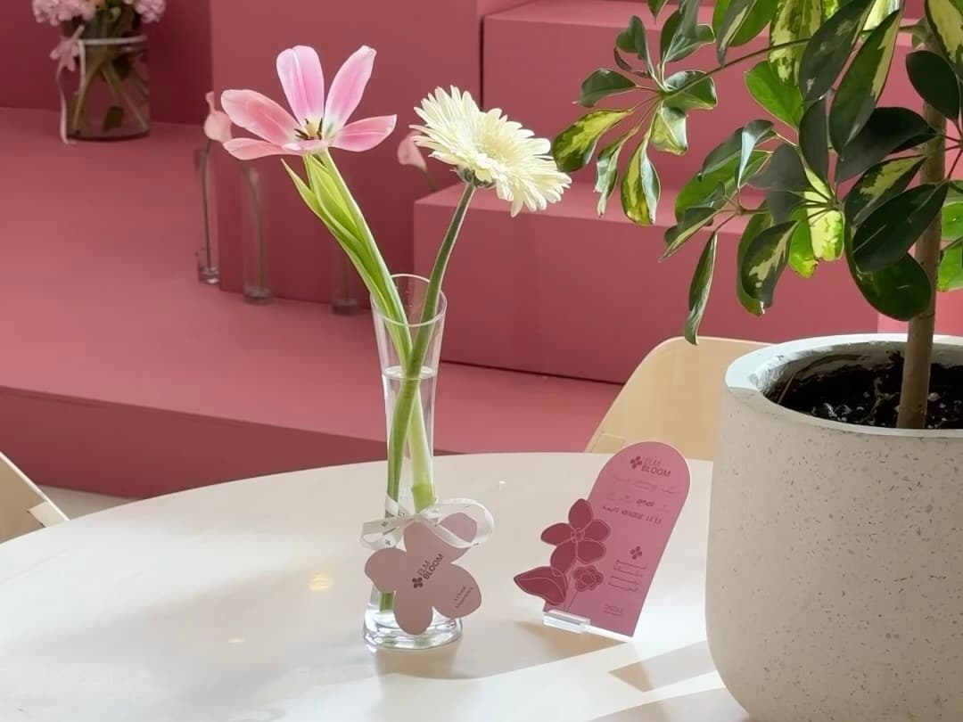 إلم بلوم | Elm Bloom 🌸 - Image 6